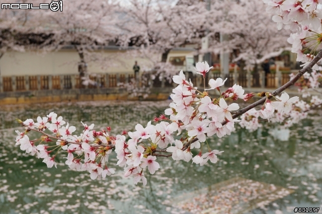 2014/04/03~06 京奈阪自由行 DAY3-4 (圖多, 甚入)