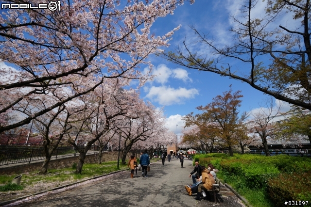 2014/04/03~06 京奈阪自由行 DAY3-4 (圖多, 甚入)
