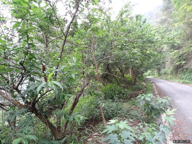 親子旅遊-屏31線之旅