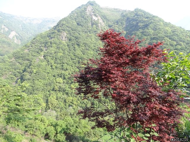 親子旅遊-投85線之旅