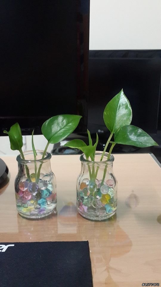 更新於12/17邁向第12年)預算不足夫妻同心油漆&整修17坪的起家厝點滴..