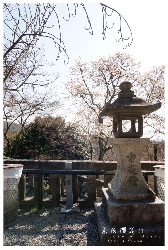 NEX-5R 京阪櫻花自由行 照片分享~