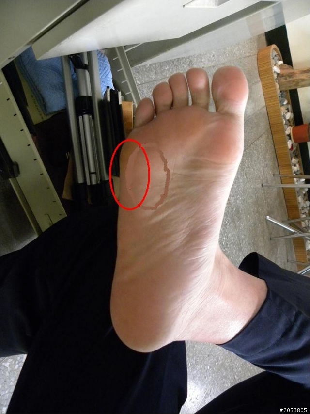 新的NIKE FREE (哪買?相關問題)