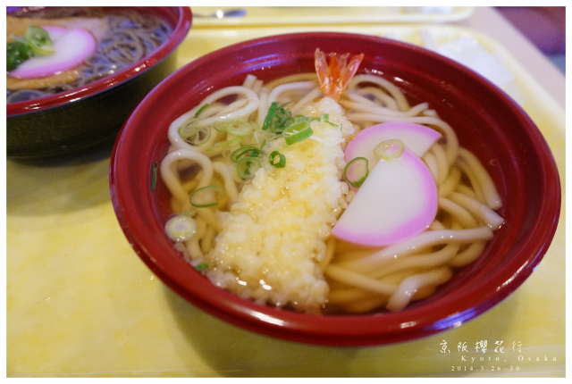 NEX-5R 京阪櫻花自由行 照片分享~