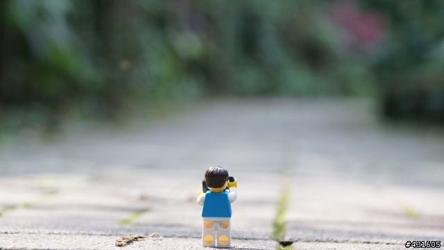 新北市 桐花公園 亂拍中