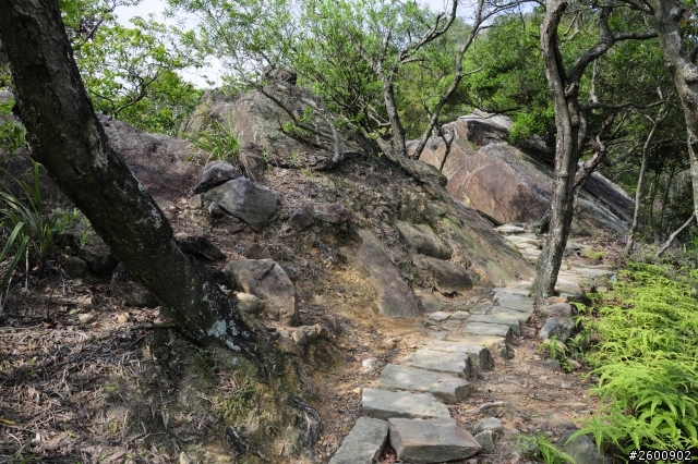 金面山