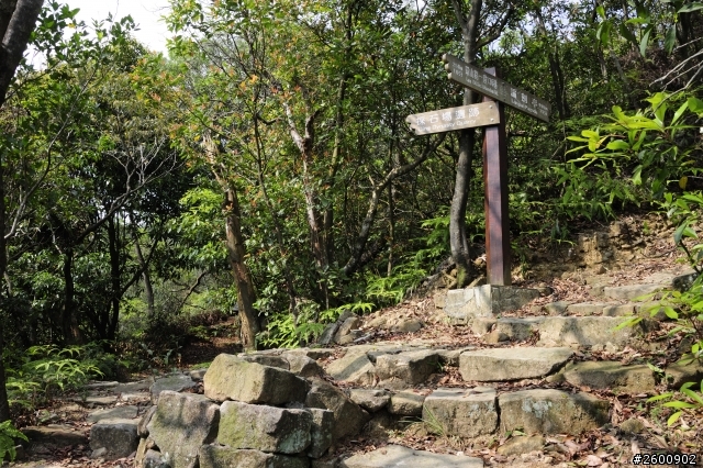 金面山
