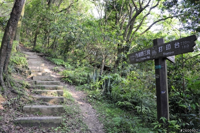 金面山