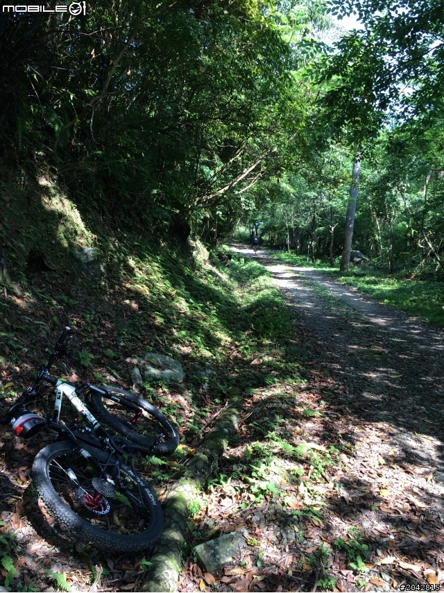 [不負責任單車遊]2014內洞林道OFFROAD