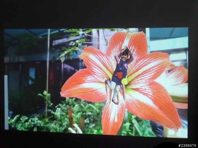 (體驗活動心得) HTC同樂會！台北場