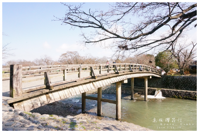 NEX-5R 京阪櫻花自由行 照片分享~