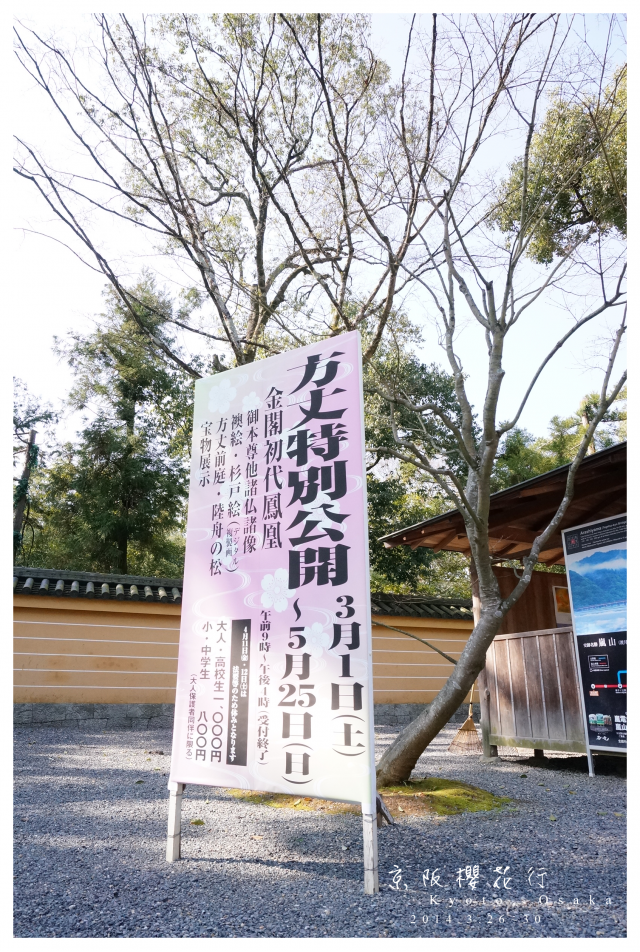 NEX-5R 京阪櫻花自由行 照片分享~