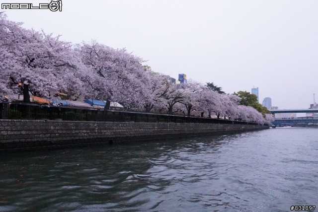 2014/04/03~06 京奈阪自由行 DAY3-4 (圖多, 甚入)