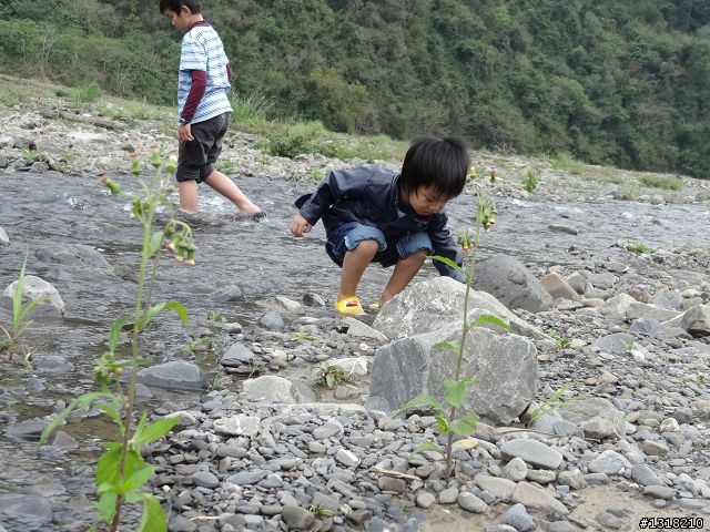 親子旅遊-大武達仁三日遊(1)