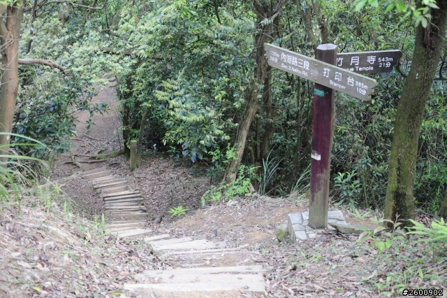 金面山