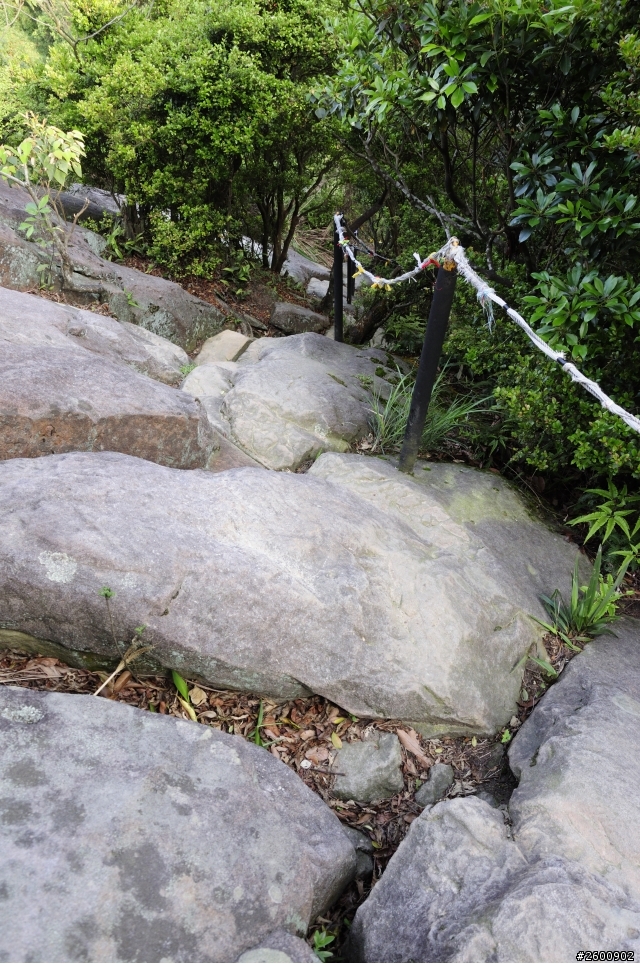 金面山