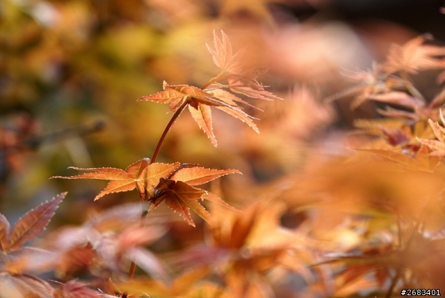 [開箱] SONY A6000 愛拍開箱文