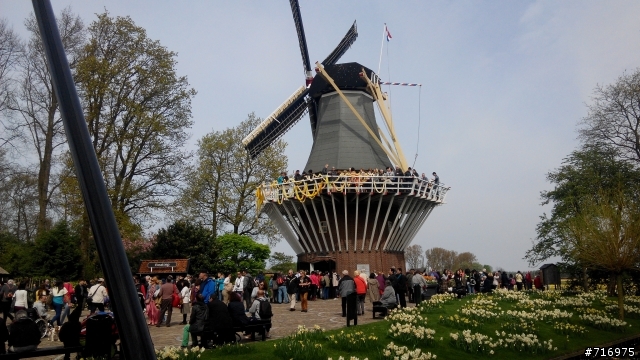 2014 荷蘭 霍肯霍夫花園