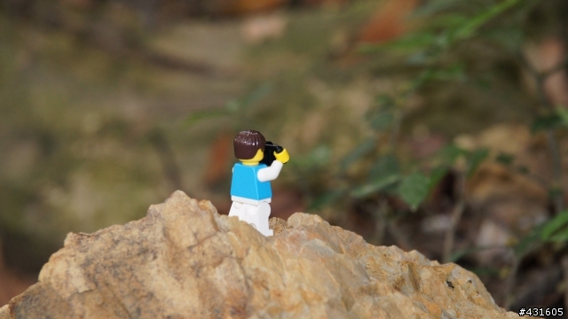 新北市 桐花公園 亂拍中