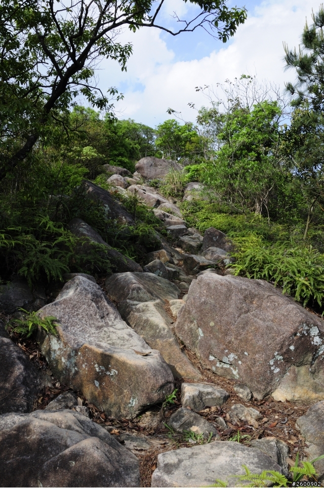 金面山