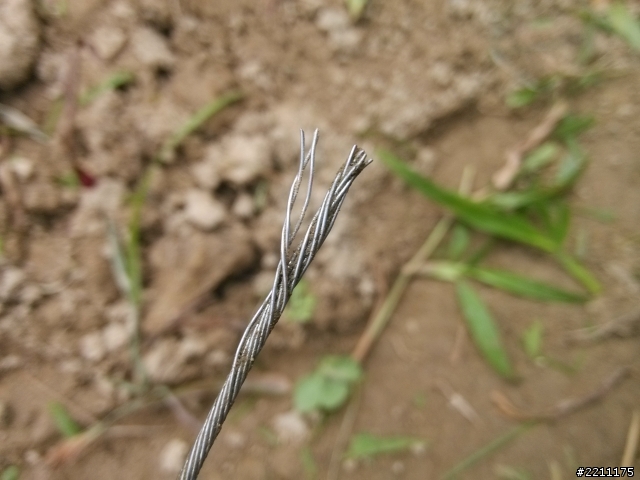 我也來一發-自製除草機