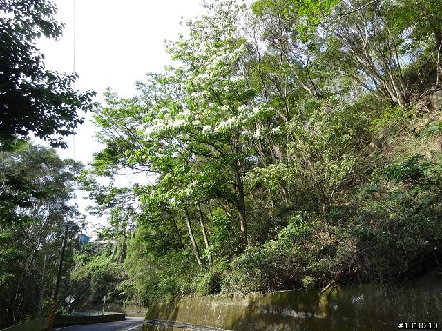親子旅遊-屏31線之旅