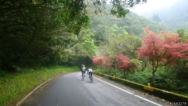 [車巡報告]走過半世紀，雙日雙北行