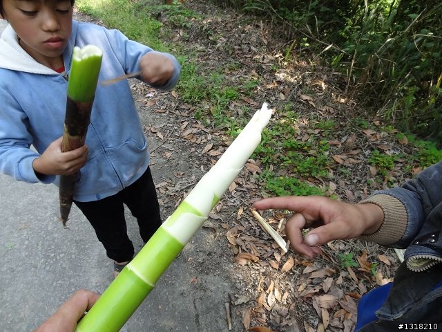 親子旅遊-投85線之旅