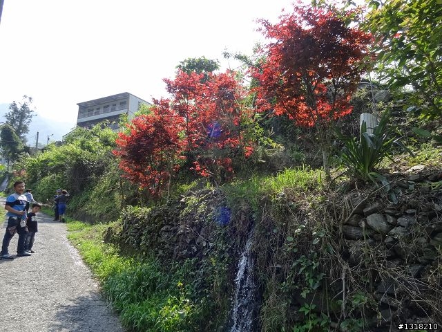親子旅遊-投85線之旅