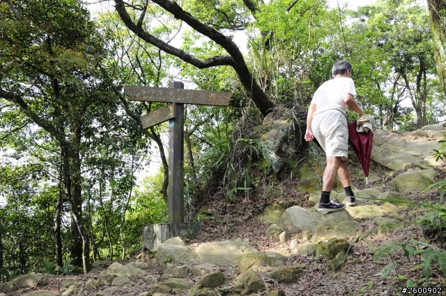 金面山