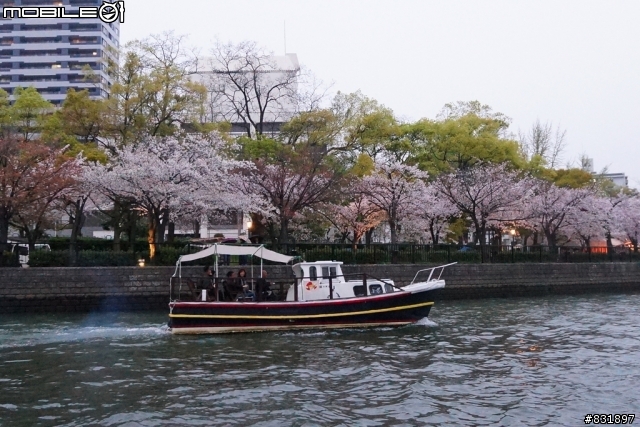 2014/04/03~06 京奈阪自由行 DAY3-4 (圖多, 甚入)