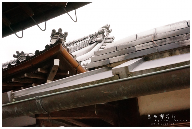 NEX-5R 京阪櫻花自由行 照片分享~