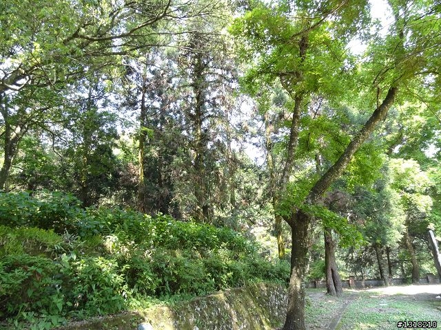 親子旅遊-投85線之旅