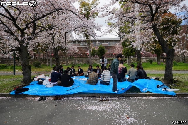 2014/04/03~06 京奈阪自由行 DAY3-4 (圖多, 甚入)