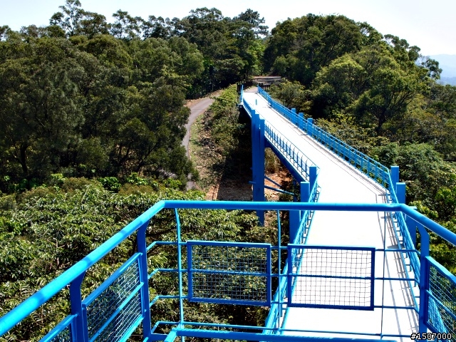 銅鑼‧天空之橋