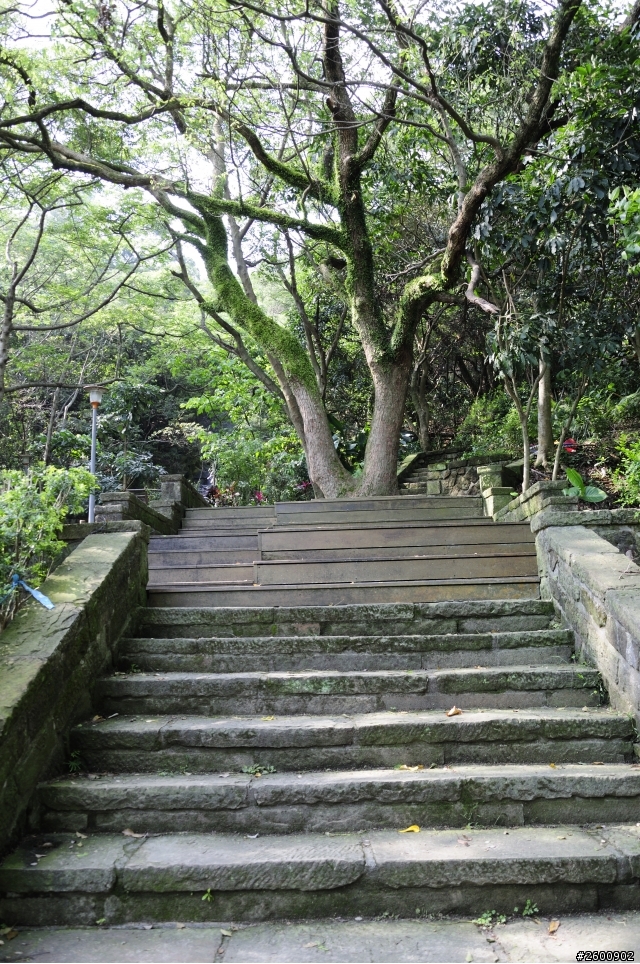 金面山