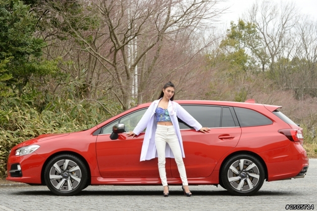 Levorg 全身健康檢查