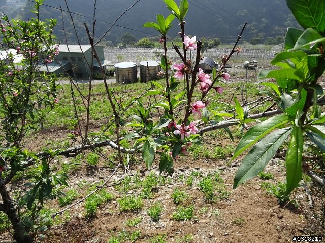 親子旅遊-投85線之旅