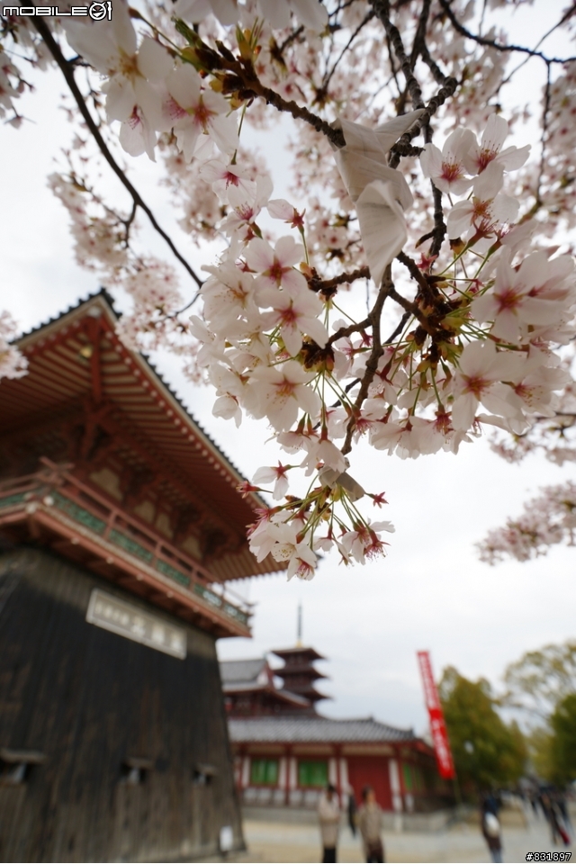 2014/04/03~06 京奈阪自由行 DAY3-4 (圖多, 甚入)