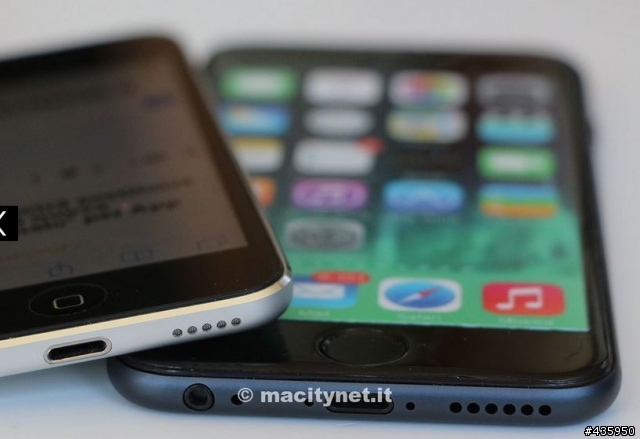 iPhone 6 vs iPod touch 5G