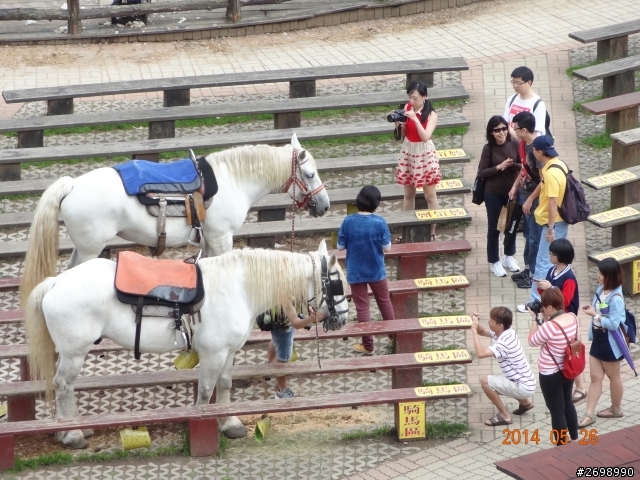 [05/26] ECOSPORT試乘遊  清境/彩虹村/清水    -  FORD 甜心開團趣