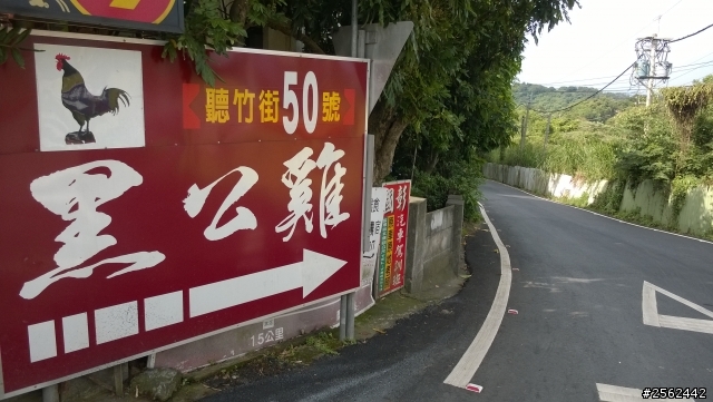 GIANT    SCR1  2015  我人生中第一部公路車