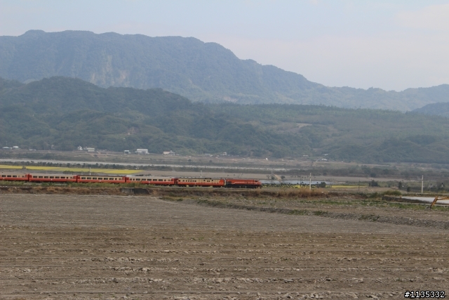 元月花東縱谷行