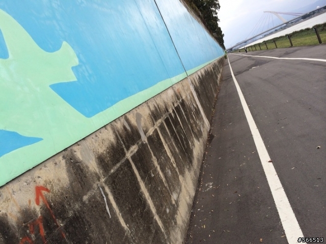 請慢行！基隆河右岸，自行車道上新生的小河蟹