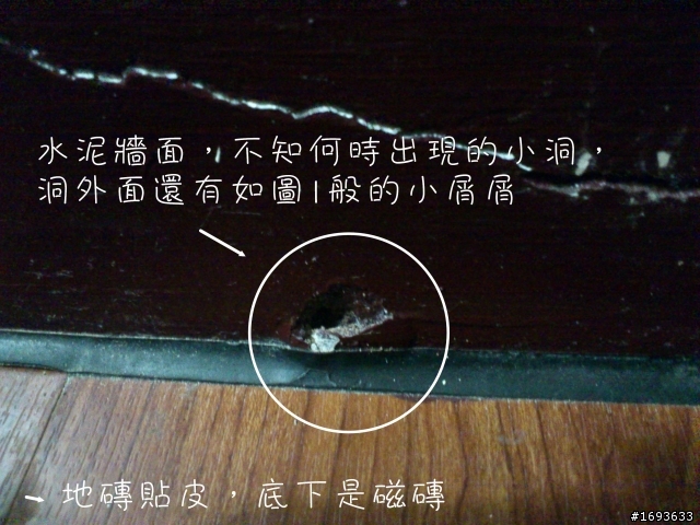 help！請問這個是蟲害造成還是？（103/05/22更新於7F）