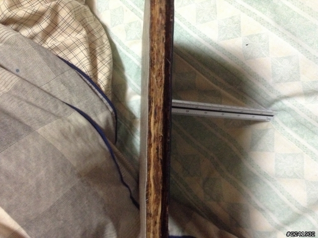 請問這塊炭化海島超耐磨好不好？