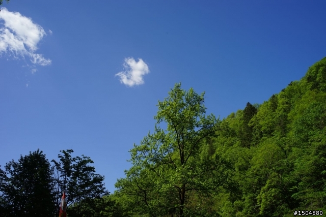 a7長白山邊關秘境  望天鵝景區 鴨綠江北韓邊境之旅