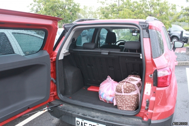 FORD ECOSPORT 甜心開團趣@開到屏東去