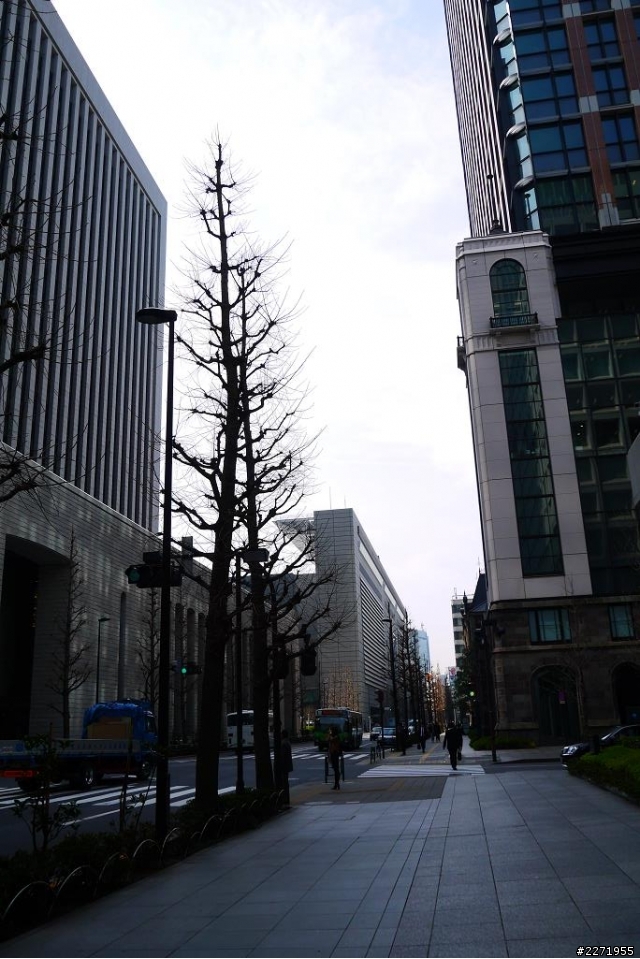 【分享】Day3 東京觀光巴士+KITTE+表參道+六本木夜景