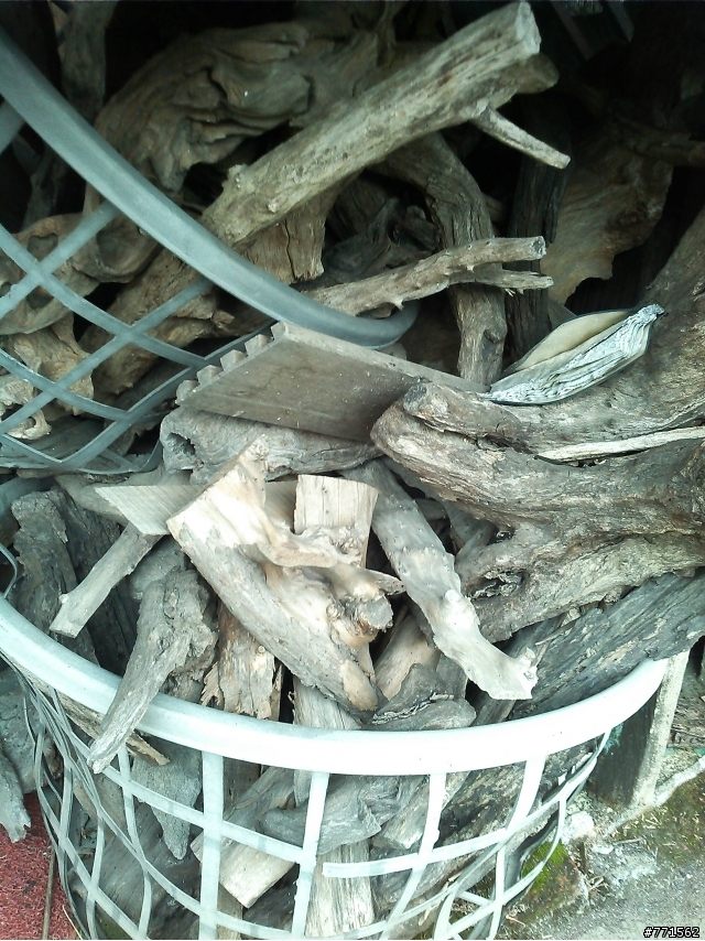 親戚放我這的 東海岸玉石~木材~到底是啥木幫我鑑定看看